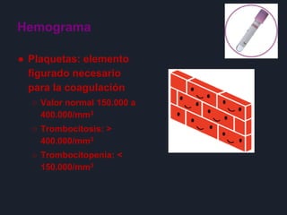 Hemograma
● Plaquetas: elemento
figurado necesario
para la coagulación
○ Valor normal 150.000 a
400.000/mm3
○ Trombocitosis: >
400.000/mm3
○ Trombocitopenia: <
150.000/mm3
 