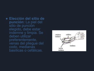 ● Elección del sitio de
punción: La piel del
sitio de punción
elegido, debe estar
indemne y limpia. Se
deben utilizar
preferentemente,
venas del pliegue del
codo, medianas
basílicas o cefálicas.
 