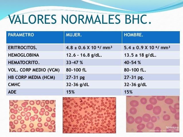 EXAMENES DE LABORATORIO EN NEUMOLOGIA EXAMENES DE LABORATORIO EN NEUMOLOGIA