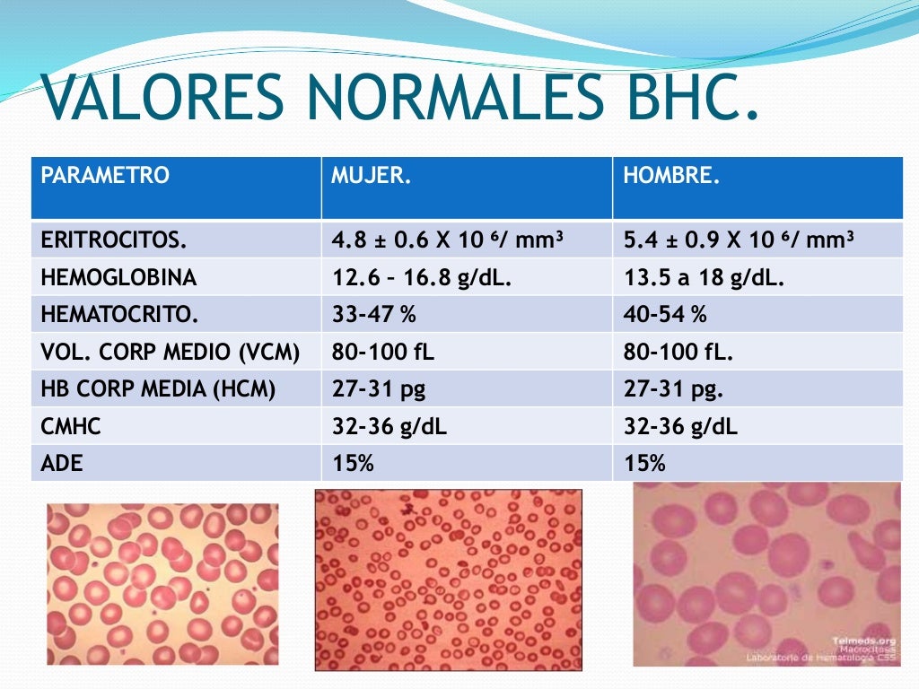 EXAMENES DE LABORATORIO EN NEUMOLOGIA