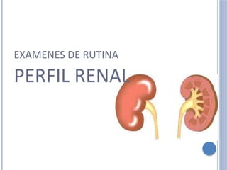 EXAMENES DE RUTINA
PERFIL RENAL
 
