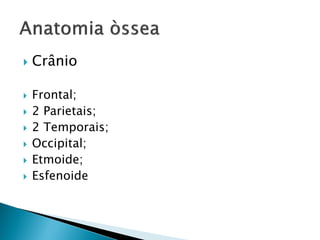    Crânio

   Frontal;
   2 Parietais;
   2 Temporais;
   Occipital;
   Etmoide;
   Esfenoide
 