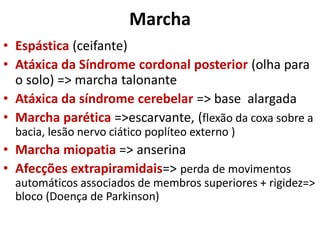 Marcha
• Espástica (ceifante)
• Atáxica da Síndrome cordonal posterior (olha para
o solo) => marcha talonante
• Atáxica da síndrome cerebelar => base alargada
• Marcha parética =>escarvante, (flexão da coxa sobre a
bacia, lesão nervo ciático poplíteo externo )
• Marcha miopatia => anserina
• Afecções extrapiramidais=> perda de movimentos
automáticos associados de membros superiores + rigidez=>
bloco (Doença de Parkinson)
 