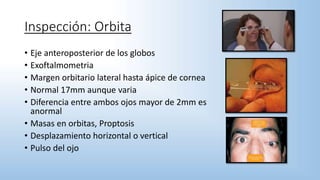 • Eje anteroposterior de los globos
• Exoftalmometria
• Margen orbitario lateral hasta ápice de cornea
• Normal 17mm aunque varia
• Diferencia entre ambos ojos mayor de 2mm es
anormal
• Masas en orbitas, Proptosis
• Desplazamiento horizontal o vertical
• Pulso del ojo
Inspección: Orbita
 