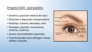 Inspección: parpados
• Simetría y posición relativa de cejas
• Elevación o depresión compensatoria
• Pestañas: numero, densidad, color
• Parpados: posición, movimiento,
simetría, cicatrices
• Anotar anormalidades especiales
• Transiluminador para distinguir masas
solidas o liquidas
 