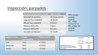 Inspección: parpados
Estructura del parpado y función Valor normal
Velocidad de pestañeo 15-16 por minuto
Largo de fisura palpebral 25-30mm
Alto de fisura palpebral 8-12mm
Distancia MPS a RCL 3-5mm
Distancia MPS a PPS 8-11mm
Excursión del elevador 10-15mm
Grado de Ptosis Fisura
interpalpebral
Distancia M-R
Leve 7mm + 1.5mm
Moderado 6mm + 0.5mm
Severo 5mm - 0.5mm
MPS: margen
parpado
superior
RCL: reflejo
corneal de luz
PPS: pliegue del
parpado
superior
 