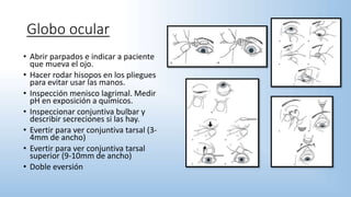Globo ocular
• Abrir parpados e indicar a paciente
que mueva el ojo.
• Hacer rodar hisopos en los pliegues
para evitar usar las manos.
• Inspección menisco lagrimal. Medir
pH en exposición a químicos.
• Inspeccionar conjuntiva bulbar y
describir secreciones si las hay.
• Evertir para ver conjuntiva tarsal (3-
4mm de ancho)
• Evertir para ver conjuntiva tarsal
superior (9-10mm de ancho)
• Doble eversión
 
