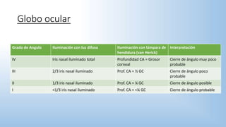 Globo ocular
Grado de Angulo Iluminación con luz difusa Iluminación con lámpara de
hendidura (van Herick)
Interpretación
IV Iris nasal iluminado total Profundidad CA = Grosor
corneal
Cierre de ángulo muy poco
probable
III 2/3 iris nasal iluminado Prof. CA = ½ GC Cierre de ángulo poco
probable
II 1/3 iris nasal iluminado Prof. CA = ¼ GC Cierre de ángulo posible
I <1/3 iris nasal iluminado Prof. CA = <¼ GC Cierre de ángulo probable
 