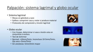 Palpación: sistema lagrimal y globo ocular
• Sistema lagrimal
• Masas en glándula y saco
• Epifora: comprimir saco y notar si produce material
• Protocolos de compresión y tinción lagrimal
• Globo ocular
• Con hisopo, determinar si vaso o lesión esta en
conjuntiva o esclera.
• Test de Schirmer
• Normal: >10mm/5min, Inconcluso 10-5mm/5min,
Ojo seco <5mm/5min
• Sin anestesia: 5mm/5min mayor
 