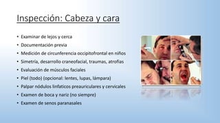 Inspección: Cabeza y cara
• Examinar de lejos y cerca
• Documentación previa
• Medición de circunferencia occipitofrontal en niños
• Simetría, desarrollo craneofacial, traumas, atrofias
• Evaluación de músculos faciales
• Piel (todo) (opcional: lentes, lupas, lámpara)
• Palpar nódulos linfaticos preauriculares y cervicales
• Examen de boca y nariz (no siempre)
• Examen de senos paranasales
 