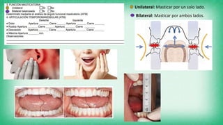 Unilateral: Masticar por un solo lado.
Bilateral: Masticar por ambos lados.
 