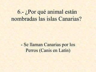 6.- ¿Por qué animal están nombradas las islas Canarias?   - Se llaman Canarias por los Perros (Canis en Latín) 