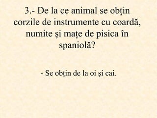 3.-  De la ce animal se obţin corzile de instrumente cu coardă, numite şi maţe de pisica în spaniolă ? -  Se obţin de la oi şi cai . 