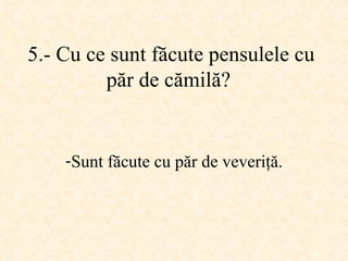 5.-  Cu ce sunt făcute pensulele cu păr de cămilă ?   Sunt făcute cu păr de veveriţă . 