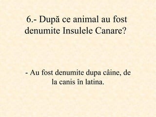 6.-  După ce animal au fost denumite Insulele Canare ?   -  Au fost denumite dupa câine, de la canis în latina. 