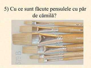 5)  Cu ce sunt făcute pensulele cu păr de cămilă ?  
