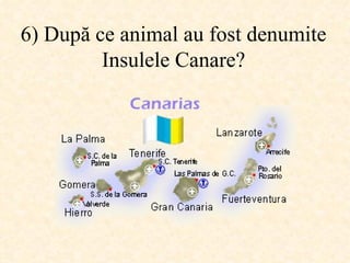 6)  După ce animal au fost denumite Insulele Canare ? 