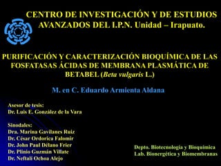 CENTRO DE INVESTIGACIÓN Y DE ESTUDIOS
          AVANZADOS DEL I.P.N. Unidad – Irapuato.


PURIFICACIÓN Y CARACTERIZACIÓN BIOQUÍMICA DE LAS
  FOSFATASAS ÁCIDAS DE MEMBRANA PLASMÁTICA DE
               BETABEL (Beta vulgaris L.)

                   M. en C. Eduardo Armienta Aldana
 Asesor de tesis:
 Dr. Luis E. González de la Vara

 Sinodales:
 Dra. Marina Gavilanes Ruiz
 Dr. César Ordorica Falomir
 Dr. John Paul Délano Frier               Depto. Biotecnología y Bioquímica
 Dr. Plinio Guzmán Villate                Lab. Bionergética y Biomembranas
 Dr. Neftalí Ochoa Alejo
 