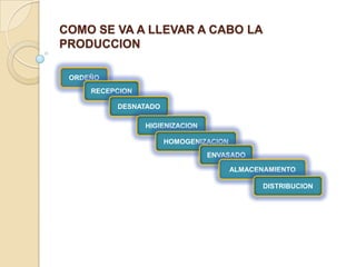 COMO SE VA A LLEVAR A CABO LA
PRODUCCION
ORDEÑO
proceso
RECEPCION
DESNATADO
HIGIENIZACION
HOMOGENIZACION
ENVASADO
ALMACENAMIENTO
DISTRIBUCION

 
