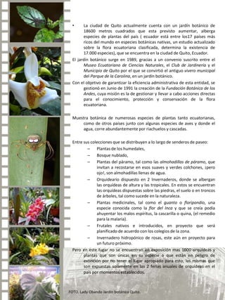 CARRIER, Christian (2003): “La exposición temporal como medio de comunicación”, Museo. Revista de la Asociación Profesional de Museólogos de España.