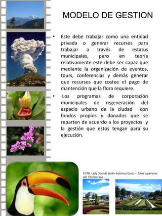 - VALDÉS SAGÜES, Mª C. (1999): La difusión cultural en el museo. Servicios, dedicados al gran público. Trea. - Analisisde la Sociedad de Farmacia de Santiago. ‑ Tomo VI (N9 l), Santiago, enero de 1873. Págs. 26‑27.- El decreto en que se comisiona al Dr. Philippi para fundar un Jardín Botánico es el siguiente: - Barros Arana, Diego. ‑ El Doctor don Rodulfo Amando Philippi, su vida y sus obras. ‑ Págs. 180 y siguientes.-Catálogo de las plantas cultivadas en el Jardín Botánico de Santiago‑Tomo VI (N9 7), Pág. 242. Santiago, julio de 1873.-Philippi, Dr. R. A. ‑ Catálogo de las plantas cultivadas en el Jardín Botánico de Santiago hasta el 1 de mayo de 1881, en los Anales de la Universidad de Chile, correspondiente a octubre de 1881, págs. 519‑581.  BIBLIOGRAFIA21