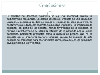 Conclusiones
El reciclaje de desechos orgánicos no es una necesidad sentida, ni
culturalmente presionada. La actitud imperante, producto de una educación
tradicional, considera pérdida de tiempo el disponer de ellos para limitar la
contaminación. El aspecto concreto es aún más importante, la producción de
desechos por parte de los sectores menos favorecidos de la población es
mínima y prácticamente se utiliza la totalidad de lo adquirido por la unidad
doméstica. Solamente productos como la cáscara de plátano, que no es
digerible por el organismo humano, produce basura. La mayoría de este
desecho se aprovecha para criar animales domésticos aún en los sitios más
inverosímiles de las viviendas.

 