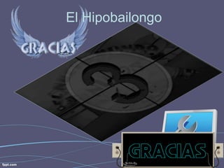 El Hipobailongo 
