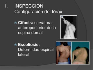 I. INSPECCION
Configuración del tórax
 Cifosis: curvatura
anteroposterior de la
espina dorsal
 Escoliosis;
Deformidad espinal
lateral
 