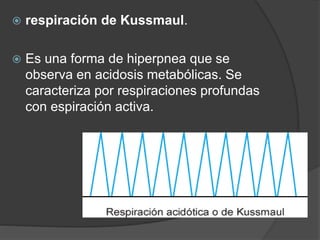  respiración de Kussmaul.
 Es una forma de hiperpnea que se
observa en acidosis metabólicas. Se
caracteriza por respiraciones profundas
con espiración activa.
 