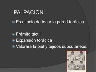 PALPACION
 Es el acto de tocar la pared torácica
 Frémito táctil
 Expansión torácica
 Valorara la piel y tejidos subcutáneos.
 