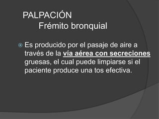 PALPACIÓN
Frémito bronquial
 Es producido por el pasaje de aire a
través de la vía aérea con secreciones
gruesas, el cual puede limpiarse si el
paciente produce una tos efectiva.
 