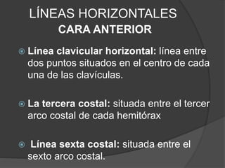 LÍNEAS HORIZONTALES
CARA ANTERIOR
 Línea clavicular horizontal: línea entre
dos puntos situados en el centro de cada
una de las clavículas.
 La tercera costal: situada entre el tercer
arco costal de cada hemitórax
 Línea sexta costal: situada entre el
sexto arco costal.
 