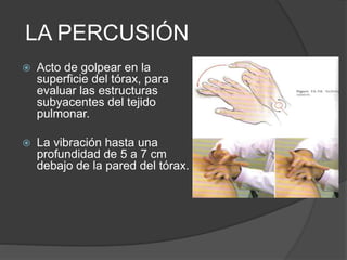 LA PERCUSIÓN
 Acto de golpear en la
superficie del tórax, para
evaluar las estructuras
subyacentes del tejido
pulmonar.
 La vibración hasta una
profundidad de 5 a 7 cm
debajo de la pared del tórax.
 