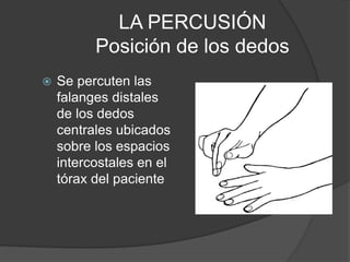 LA PERCUSIÓN
Posición de los dedos
 Se percuten las
falanges distales
de los dedos
centrales ubicados
sobre los espacios
intercostales en el
tórax del paciente
 