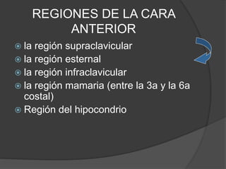 REGIONES DE LA CARA
ANTERIOR
 la región supraclavicular
 la región esternal
 la región infraclavicular
 la región mamaria (entre la 3a y la 6a
costal)
 Región del hipocondrio
 