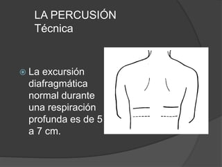 LA PERCUSIÓN
Técnica
 La excursión
diafragmática
normal durante
una respiración
profunda es de 5
a 7 cm.
 