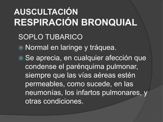 AUSCULTACIÓN
RESPIRACIÓN BRONQUIAL
SOPLO TUBARICO
 Normal en laringe y tráquea.
 Se aprecia, en cualquier afección que
condense el parénquima pulmonar,
siempre que las vías aéreas estén
permeables, como sucede, en las
neumonías, los infartos pulmonares, y
otras condiciones.
 