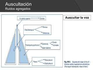 Auscultación
Ruidos agregados
Auscultar la voz
 