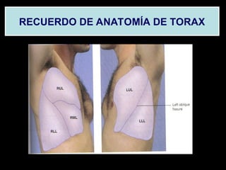 Torax Ex examen_físico_cabeza_y_tórax_metodos_de_explotacion | PPT