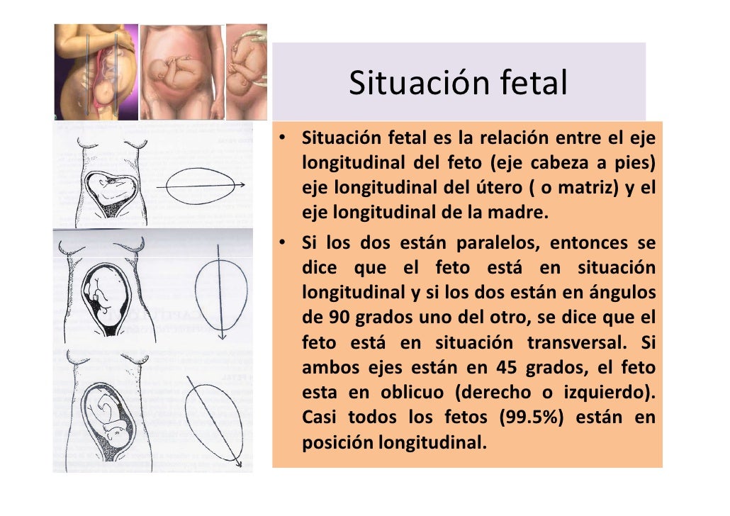Examen fisico de abdomen Julio 2012