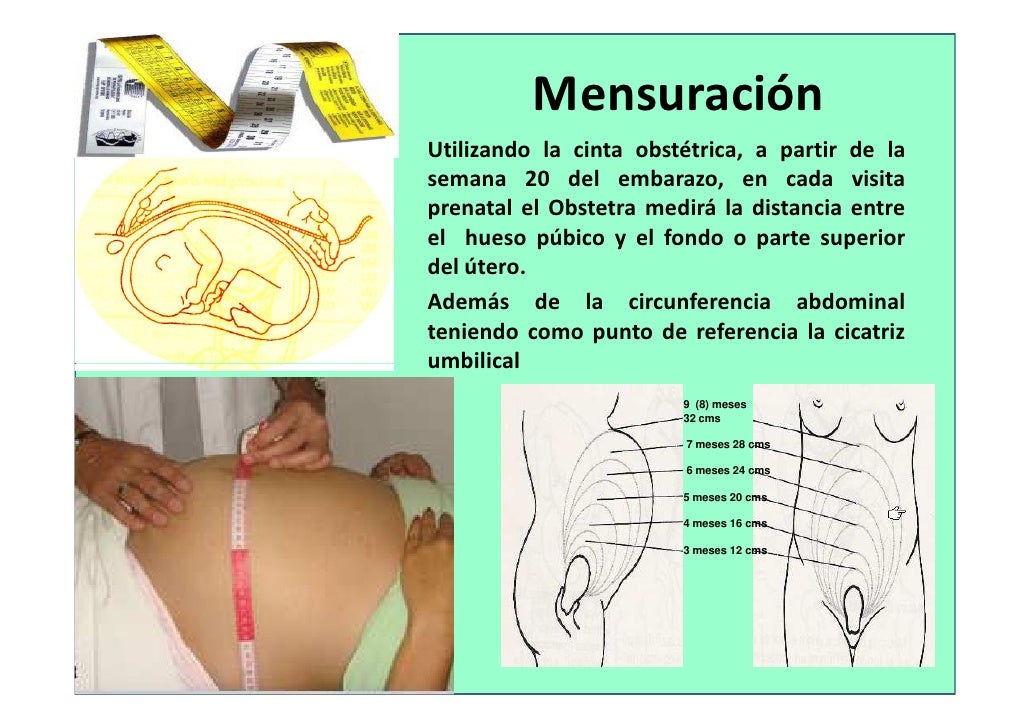 Examen fisico de abdomen Julio 2012