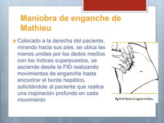 Examen fisico del abdomen | PPTX