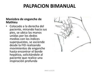 Examen fisico del abdomen | PPTX