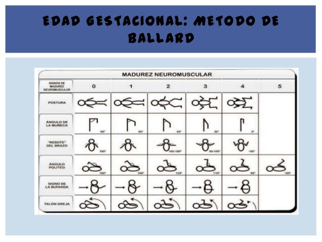 Examen fisico del neonato