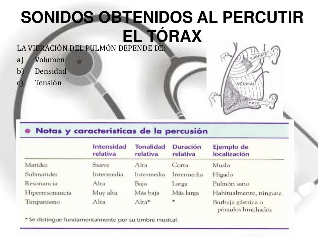 Examen fisico de torax