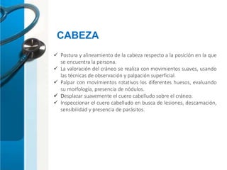  Postura y alineamiento de la cabeza respecto a la posición en la que
se encuentra la persona.
 La valoración del cráneo se realiza con movimientos suaves, usando
las técnicas de observación y palpación superficial.
 Palpar con movimientos rotativos los diferentes huesos, evaluando
su morfología, presencia de nódulos.
 Desplazar suavemente el cuero cabelludo sobre el cráneo.
 Inspeccionar el cuero cabelludo en busca de lesiones, descamación,
sensibilidad y presencia de parásitos.
CABEZA
 