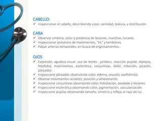 CABELLO:
 Inspeccionar el cabello, describiendo color, cantidad, textura, y distribución.
CARA
 Observar simetría, color y presencia de lesiones, manchas, lunares.
 Inspeccionar presencia de movimientos, "tic" y temblores.
 Palpar arterias temporales, en busca de engrosamientos.
OJOS
 Expresión, agudeza visual, uso de lentes , prótesis, reacción pupilar, diplopía,
fotofobia, movimientos, esclerótica, conjuntivas, dolor, infección, picazón,
párpados . .
 Inspeccione párpados observando color, edema, orzuelo, exoftálmico.
 Observe movimientos oculares; posición y alineamiento.
 Inspeccione conjuntivas observando color, hidratación, exudado y lesiones.
 Inspeccione esclerótica observando color, pigmentación, vascularización.
 Inspeccione pupilas observando tamaño, simetría y reflejo al rayo de luz.
 