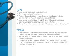 TORAX
 Inspeccionar las características generales:
 Tamaño, simetría, deformaciones.
 Palpar músculos torácicos y esqueléticos, evaluando contracturas,
abombamientos, depresiones y frémitos subcutáneos.
 Inspeccionar características de la piel: color, hidratación, turgencia,
cicatrices, erupciones, edema y distribución del vello.
 Recuerde que si se trata de una mujer debes cuidar mucho más la privacidad
TRONCO
 En el caso de la mujer luego de inspeccionar las características de la piel,
corresponde efectuar la valoración de las glándulas mamarias.
 Se debe observar tamaño, simetría, forma, color, cicatrices, dolor, masas y
posibles depresiones.
 Observar características de los pezones; color, forma, tamaño, lesiones,
cicatrices, glándulas supernumerarias, inversión, sangrado, exudado (color,
cantidad, consistencia)
 