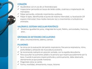 CORAZÓN
 Ayudándose con el uso de un fonendoscopio
 Inspeccionar pericardio en busca de latido visible, cicatrices e implantación de
marcapaso.
 Palpar pericardio, sintiendo movimientos cardíacos.
 Palpar el ápex, identificando el punto de máxima intensidad, su localización (5º
espacio intercostal, línea media clavicular izq.) y movimientos o turbulencias
anómalas.
VALORAR EL SISTEMA VASCULAR PERIFÉRICO
 Simetría e igualdad de pulso, integridad de la piel, flebitis, varicosidades, fracturas,
yeso...
SÍNTOMAS DE DETERIORO CIRCULATORIO
 dolor, entumecimiento, edema, cianosis
PULMONES
 Se inicia con la evaluación del patrón respiratorio; frecuencia respiratoria, ritmo,
profundidad y utilización de musculatura accesoria.
 Se recomienda realizarlo en posición sentada, con la espalda descubierta.
 Para auscultar los pulmones pídale a la persona que respire pausadamente por la
boca. Cuando la persona respire profunda y continuamente, debe observarla
atentamente ya que puede marearse.
 Pregúntale cómo se siente.
 Forma, movilidad, alineamiento, masas, lesiones
 
