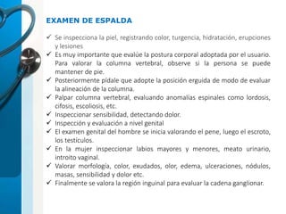 EXAMEN DE ESPALDA
 Se inspecciona la piel, registrando color, turgencia, hidratación, erupciones
y lesiones
 Es muy importante que evalúe la postura corporal adoptada por el usuario.
Para valorar la columna vertebral, observe si la persona se puede
mantener de pie.
 Posteriormente pídale que adopte la posición erguida de modo de evaluar
la alineación de la columna.
 Palpar columna vertebral, evaluando anomalías espinales como lordosis,
cifosis, escoliosis, etc.
 Inspeccionar sensibilidad, detectando dolor.
 Inspección y evaluación a nivel genital
 El examen genital del hombre se inicia valorando el pene, luego el escroto,
los testículos.
 En la mujer inspeccionar labios mayores y menores, meato urinario,
introito vaginal.
 Valorar morfología, color, exudados, olor, edema, ulceraciones, nódulos,
masas, sensibilidad y dolor etc.
 Finalmente se valora la región inguinal para evaluar la cadena ganglionar.
 
